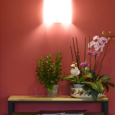 Hotel Brit Croix Blandin 3*