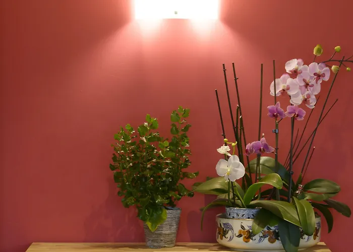 Hotel Brit Croix Blandin 3*